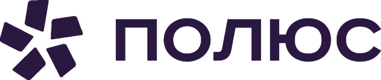 Полюс
